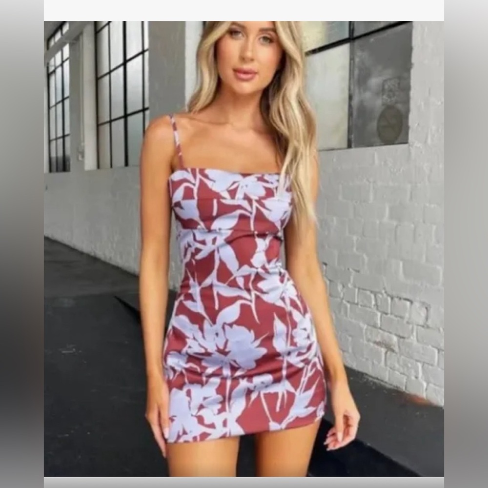 NWT TIGERMIST FELICIA MINI